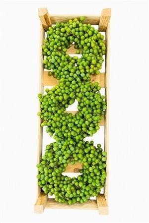 <h4>SIERFRUIT KRANS H%</h4>