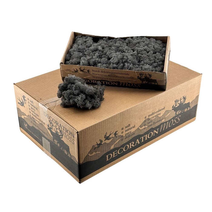 <h4>Ijslandsmos Antraciet</h4>