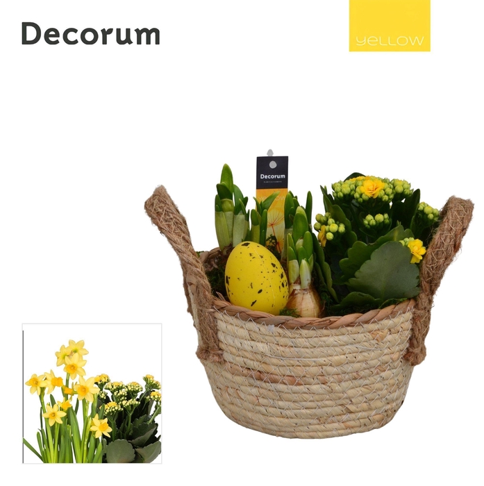<h4>Calandiva & Narcis Mand met Hengsels HL23785 [YELLOW]</h4>