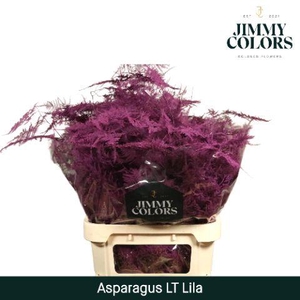 Aspa lang getopt Lila