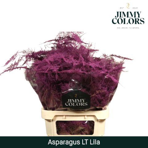 <h4>Asp lang getopt Lila</h4>