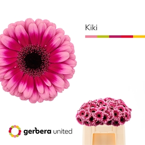 GE MI KIKI