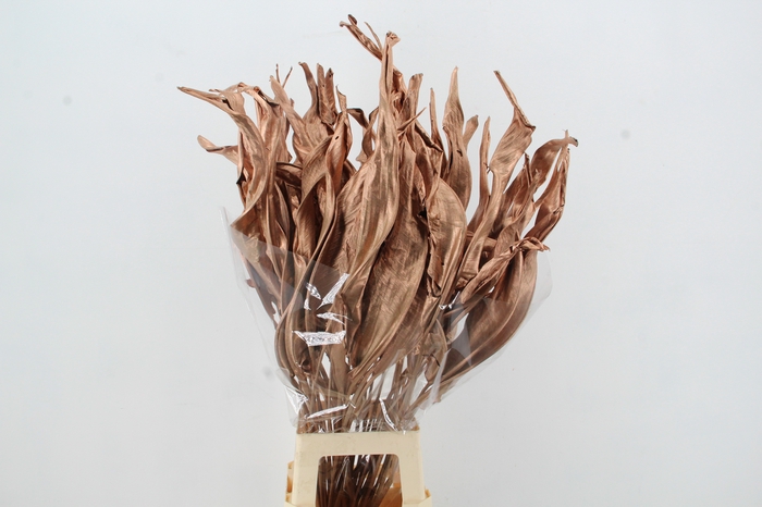 <h4>DF Strelitzia Leaf Copper</h4>