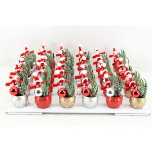 arr3 AD - Kerst potje kl. x30