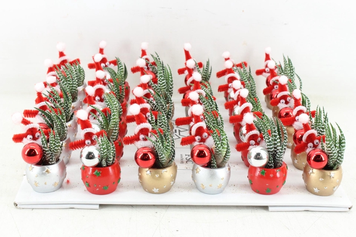 <h4>arr3 AD - Kerst potje kl. x30</h4>