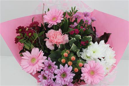 <h4>Boeket Germini Roze</h4>