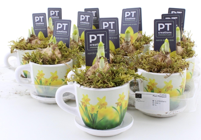 <h4>ARR N TETE A TETE</h4>