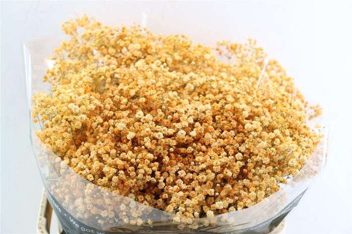 <h4>Gyps Grof Apricot/salmon (dip)</h4>