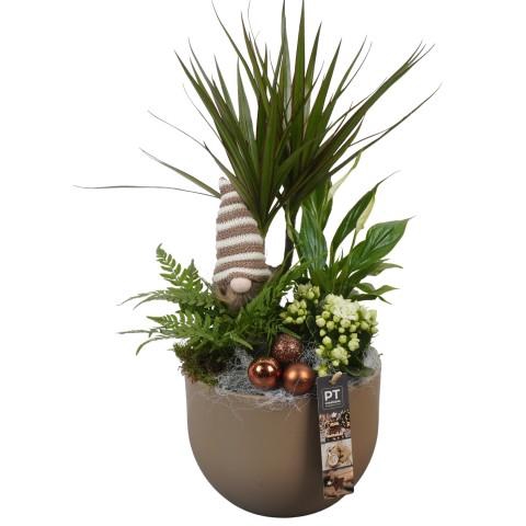 <h4>PTCHB9738 Arrangementen Kerst</h4>