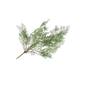 Silk Fern Maiden Hair Plant Green 77cm