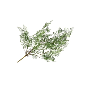 Silk Fern Maiden Hair Plant Green 77cm