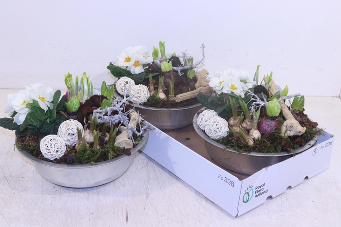 <h4>ARR TUINPLANTEN</h4>