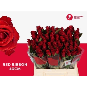 R GR RED RIBBON