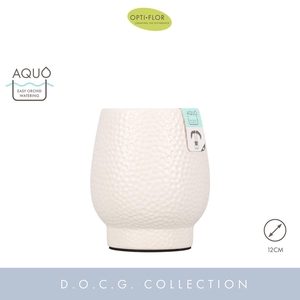 Abruzzo White 12 cm Aquo