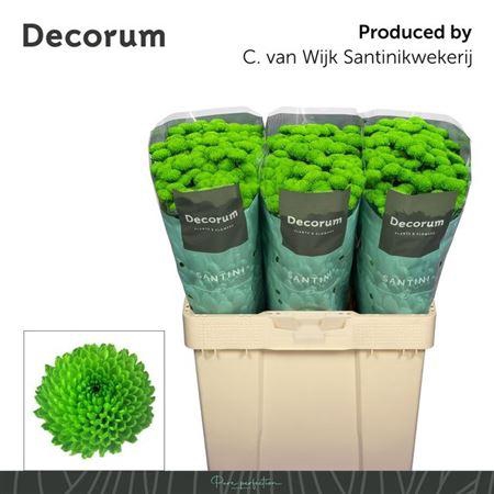 <h4>Chr S Country 1000gr</h4>