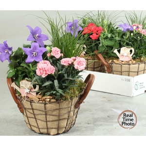 ARR TUINPLANTEN