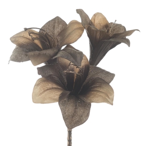 Af Amaryllis X3 L57cm Taupe