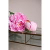 Paeo L Sarah Bernhardt