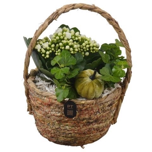 PTHI3283 Arrangement Autumn Indoor in rieten mand