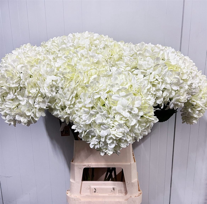 <h4>Deco Stem Hydrangea White X3 L111d30</h4>