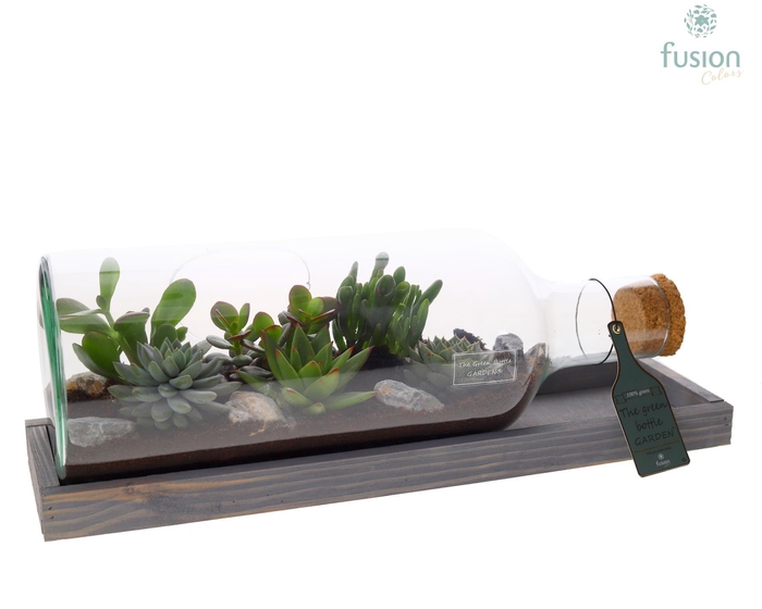 <h4>Green Bottle Fles Medium liggend met Succulenten</h4>