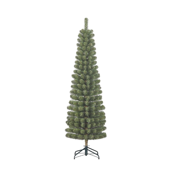 <h4>Christmas Tree Charlton d48*155cm</h4>