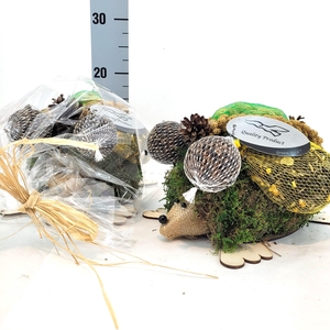 Kruipende Egel in Kado Folie