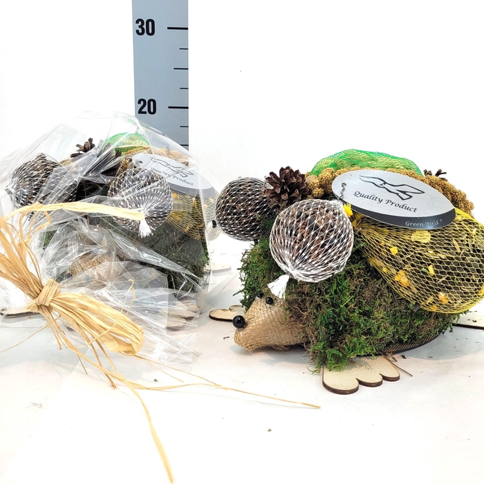 <h4>Kruipende Egel in Kado Folie</h4>