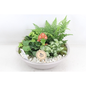 arr2 PL - Zink schaal creme - wit