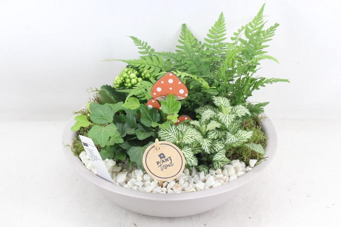 <h4>arr2 PL - Zink schaal creme - wit</h4>