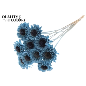 Shola Daisy Sunflower 6cm on stem Light Blue