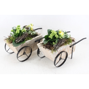 arr2 TD - Hout handkar bird - wit