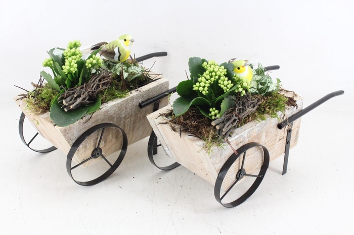 <h4>arr2 TD - Hout handkar bird - wit</h4>