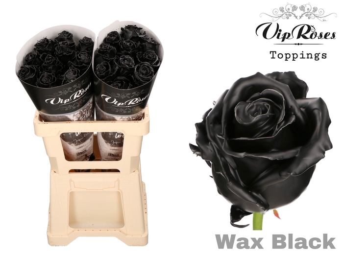 R GR WAX BLACK (60cm)