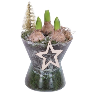 Christmas Arr. Hyacint Glass Hourglass Ø16cm 3PP