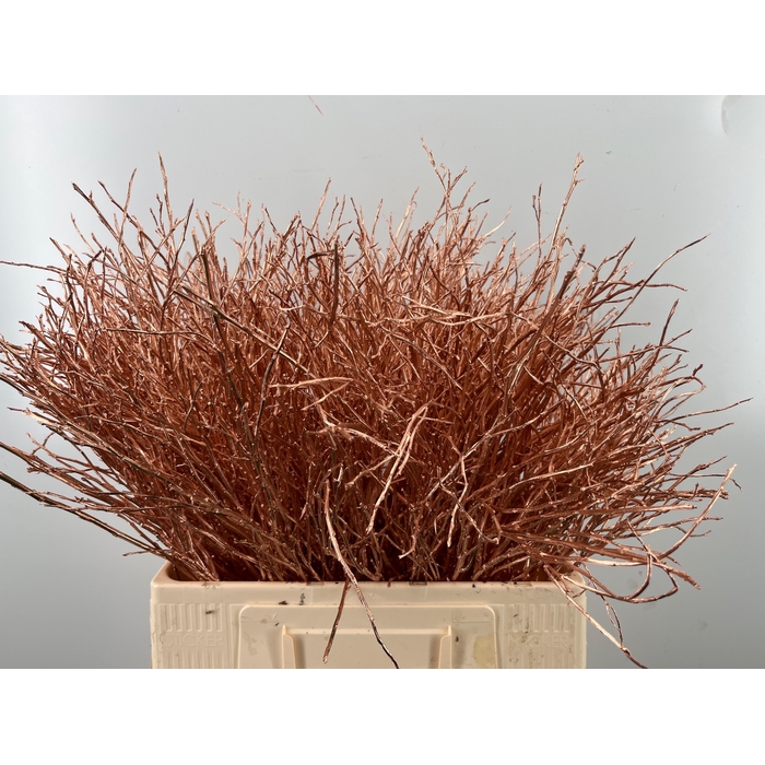 <h4>Vacc Klb H%</h4>