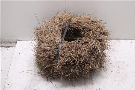 <h4>Krans Dennenaald Nat 40</h4>