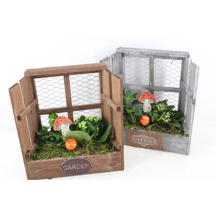 <h4>Arr2 Td - Houten Raam - Oranje/wit</h4>