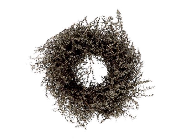 Wreath Asparagus Wax D30