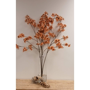 Cherry Blossom Orange
