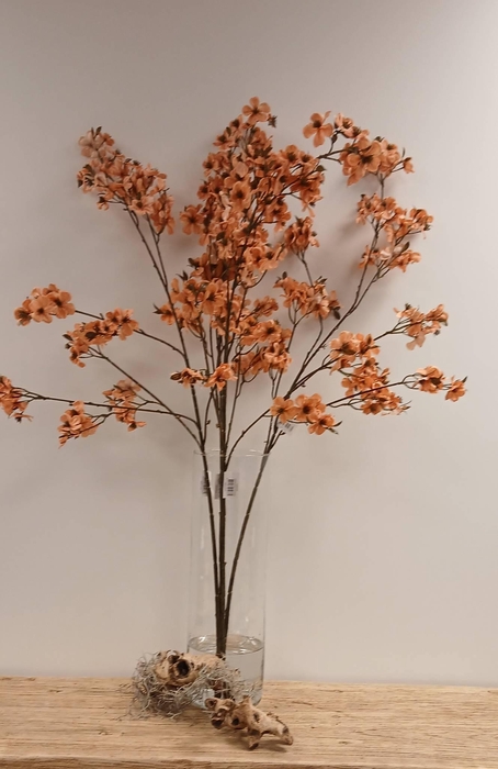 <h4>Cherry Blossom Orange</h4>
