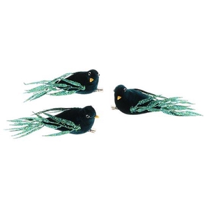 Bird Regalia 3pcs L15W15H6
