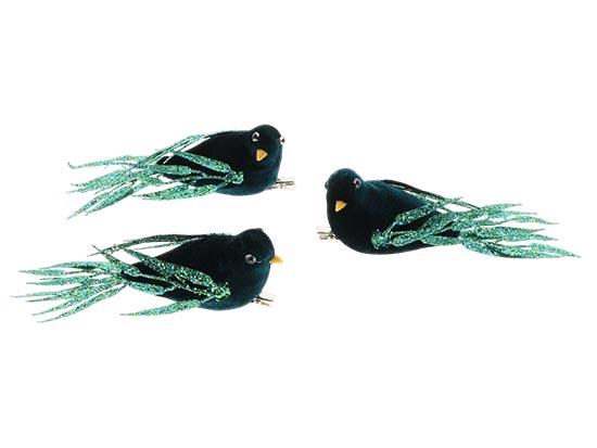 Bird Regalia 3pcs L15W15H6