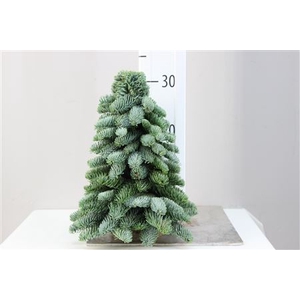 Kerstboom Nobilis 30