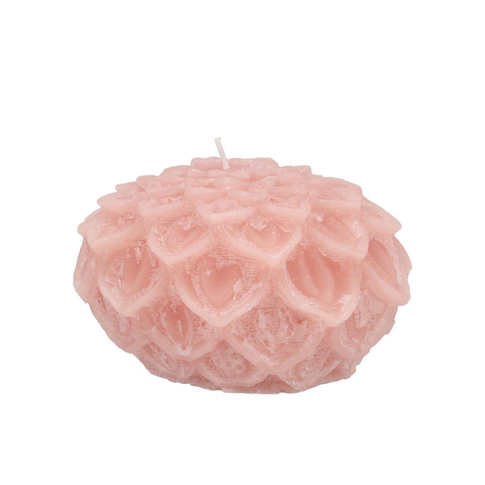 <h4>Candle Dahlia Old Light Pink 12x8cm Nm</h4>