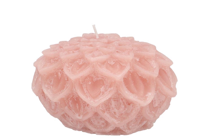 Candle Dahlia Old Light Pink 12x8cm Nm