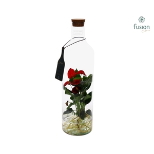 Green Bottle Fles Large met Anthurium 24uur levering