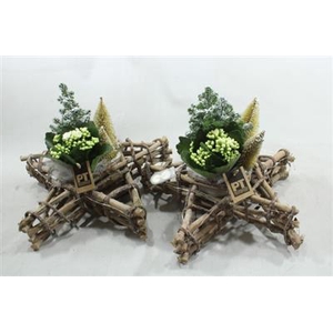 5701 Hout Ster Boompjes