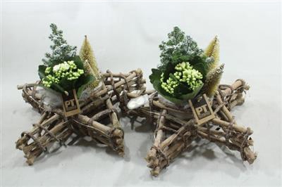 <h4>5701 Hout Ster Boompjes</h4>