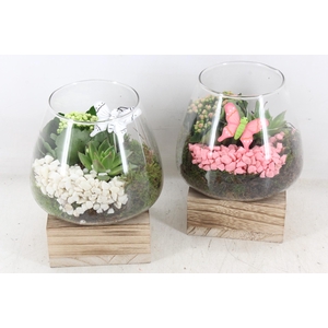 arr2 PL - Glas konisch hout - roze/wit